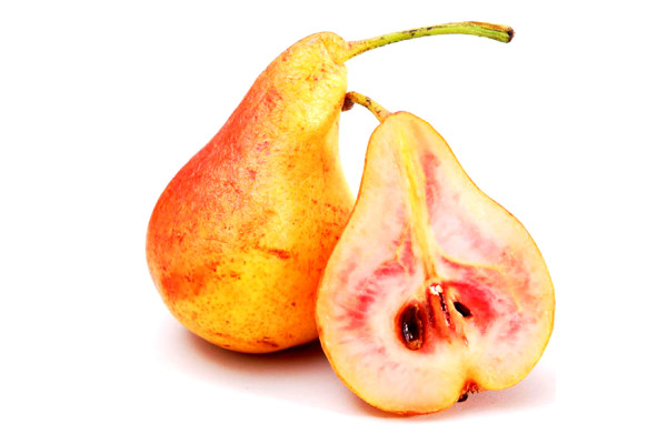 Груша Весільна